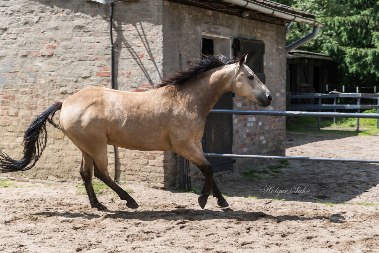 Bild 176 - Vivi